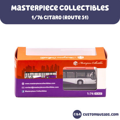 1/76 Mercedes-Benz Citaro (51)